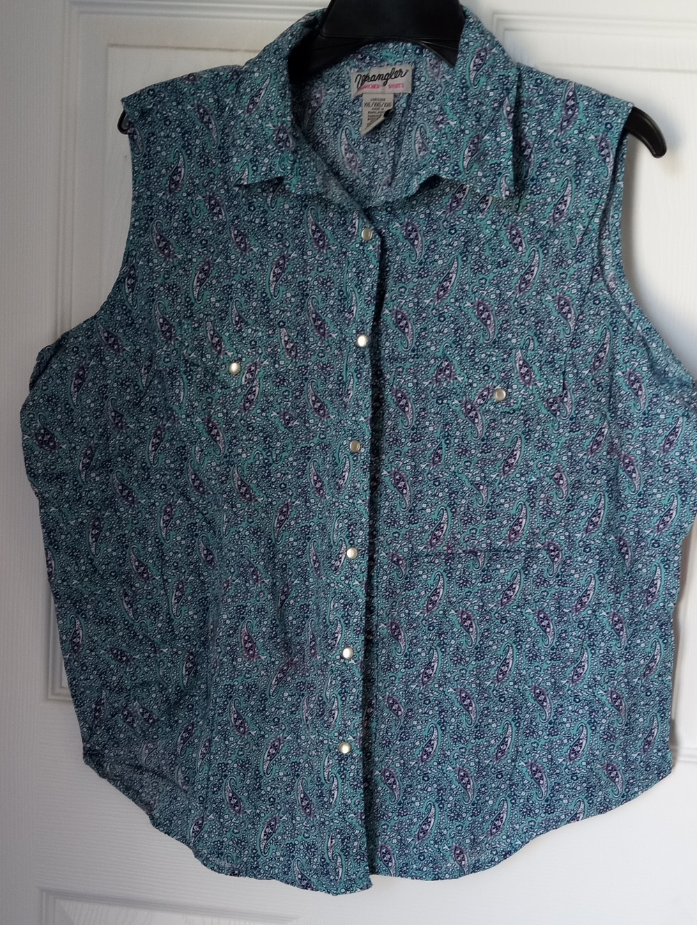 Wrangler Sleeveless Paisley Button-Up in Teal